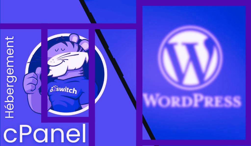 Faire le lien entre cPanel et Wordpress